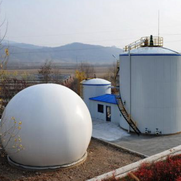 Biogas digester liquid mixing tank anaerobic tank on sale