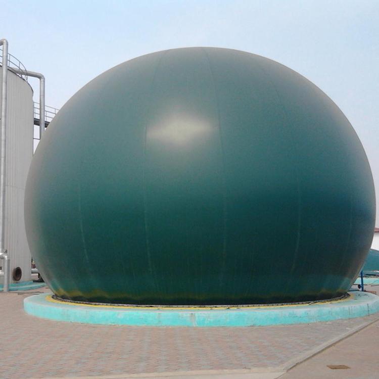 Poultry house anaerobic reactor assembly tank double film biogas holder integrated anaerobic equipment biogas generator purification environment equipment